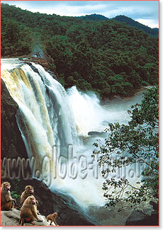 индия экскурсии водопад